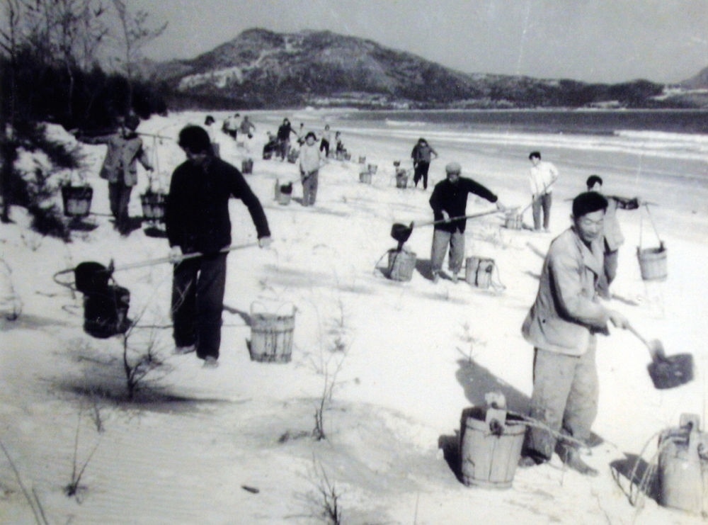 上世紀東山百姓在沙灘造林（資料照片）。