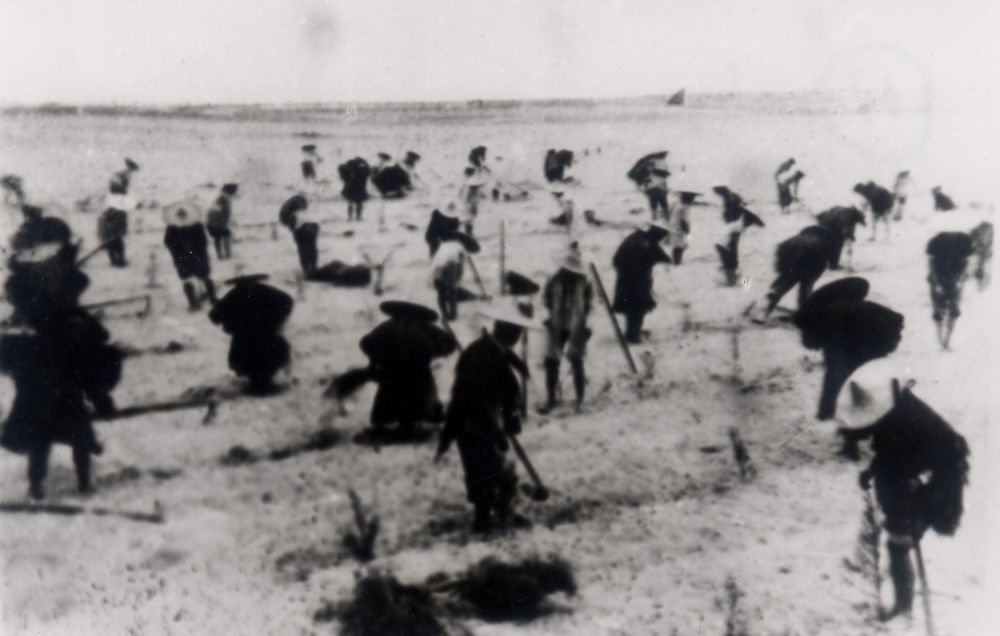 上世紀東山百姓在沙灘造林（資料照片）。