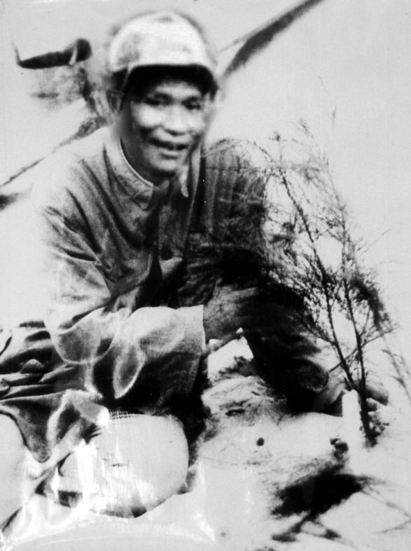 谷文昌與試種成活的木麻黃（資料照片）。為了治沙，谷文昌爬遍了東山縣400多個山頭，踏遍了30多公里的沙灘，終于帶領(lǐng)東山人民試種木麻黃成功。