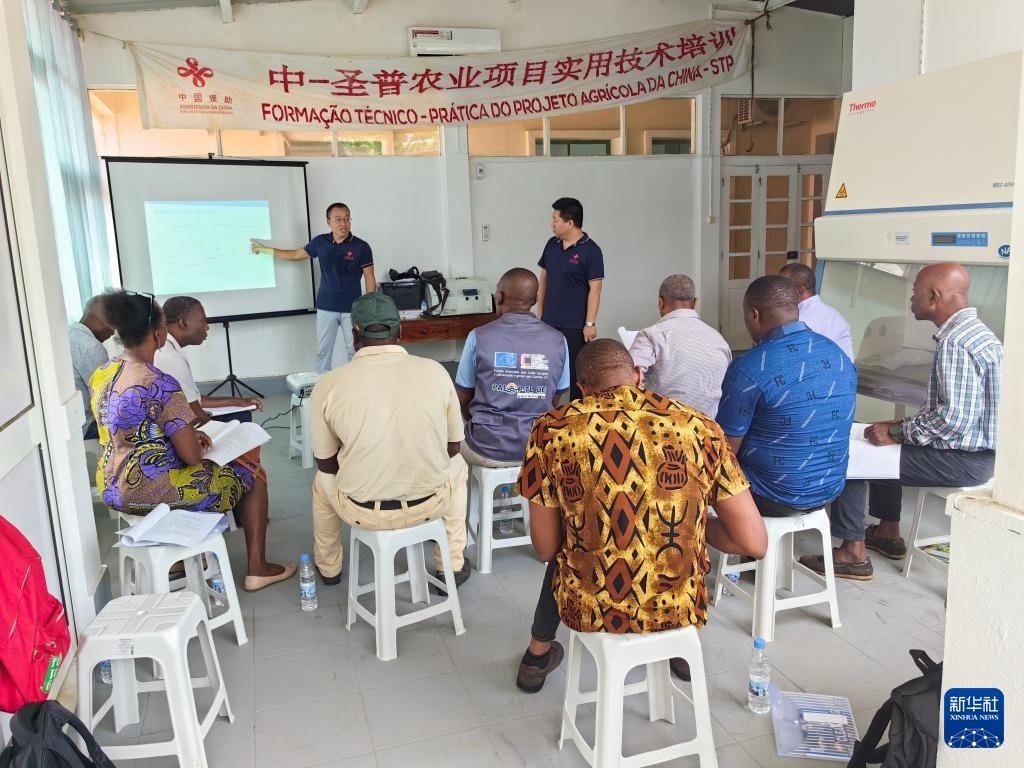 中國援圣普農牧業(yè)技術項目組專家段振華（后左）在圣多美和普林西比的國家獸醫(yī)實驗室開展動物疫病監(jiān)測技術培訓（2024年6月21日攝）。新華社發(fā)（中國援圣普農技組供圖）