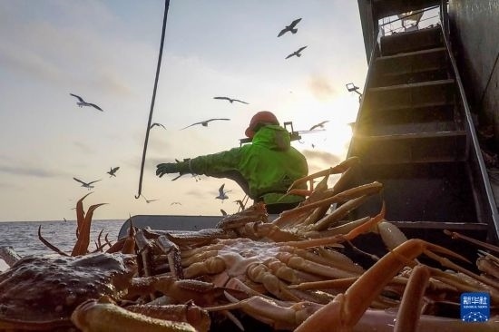 這是俄羅斯蟹業(yè)集團(tuán)工作人員進(jìn)行遠(yuǎn)洋捕撈的資料照片。新華社發(fā)（俄羅斯蟹業(yè)集團(tuán)供圖）