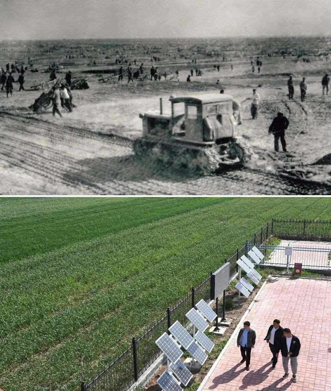上圖為二十世紀(jì)六十年代蘭考改造鹽堿地的情景（資料照片）；下圖為2024年4月18日拍攝的蘭考縣紅廟鎮(zhèn)高標(biāo)準(zhǔn)農(nóng)田示范區(qū)。（新華社記者 朱祥 攝）