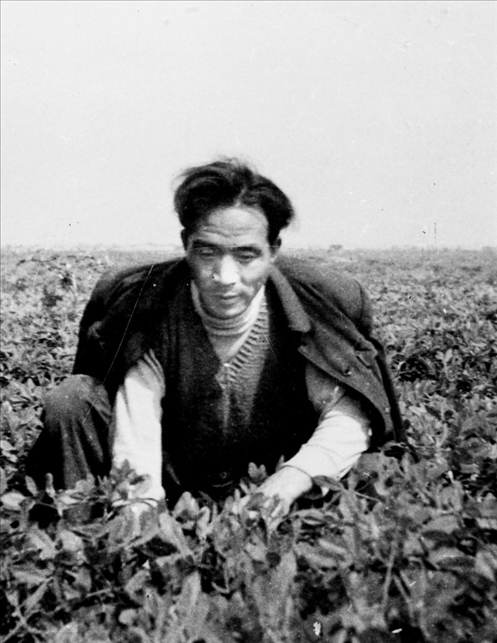 在蘭考期間，焦裕祿在田間勞動(dòng)的情景。