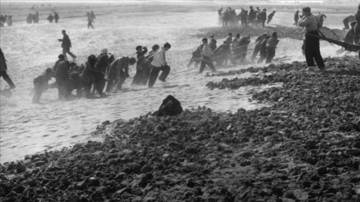 蘭考群眾在拉淤土壓沙。（新華社記者 鄧歷耕 攝）