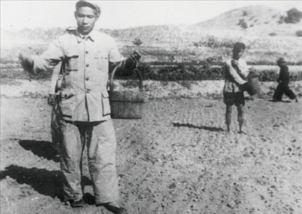 △ 谷文昌在福建省東山縣坑北村參加播種。