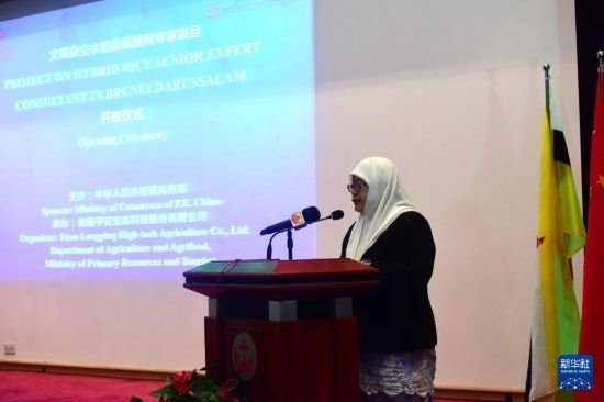 10月26日，文萊初級資源與旅游部常任秘書圖蒂亞蒂在斯里巴加灣市出席中國與文萊雜交水稻高級專家顧問項(xiàng)目啟動儀式。新華社記者 李萌 攝