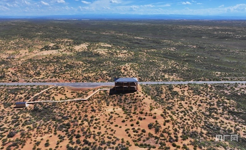 古浪縣一代代人治沙不息，讓綠色向沙漠深處不斷延伸（央廣網(wǎng)記者 李紅軍 攝）