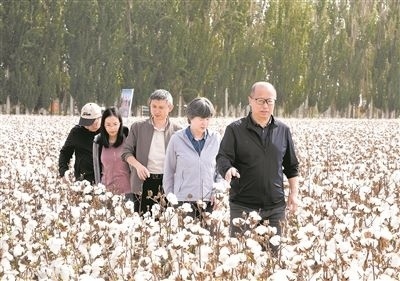 李召虎團(tuán)隊(duì)成員在棉田了解試驗(yàn)情況。 受訪單位供圖
