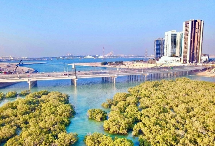 圖為瑞姆橋施工現(xiàn)場(chǎng)。中國(guó)土木供圖