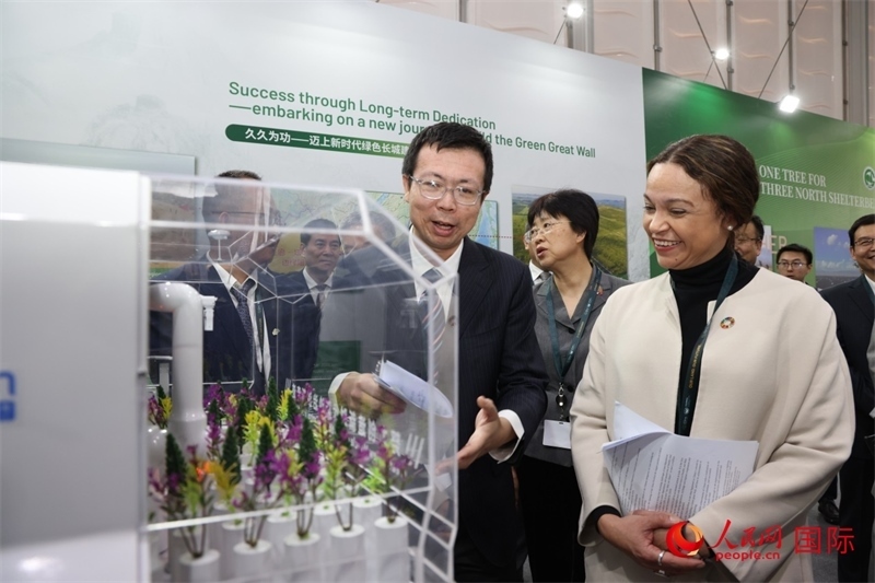 嘉賓參觀中國館。人民網(wǎng)記者任皓宇攝