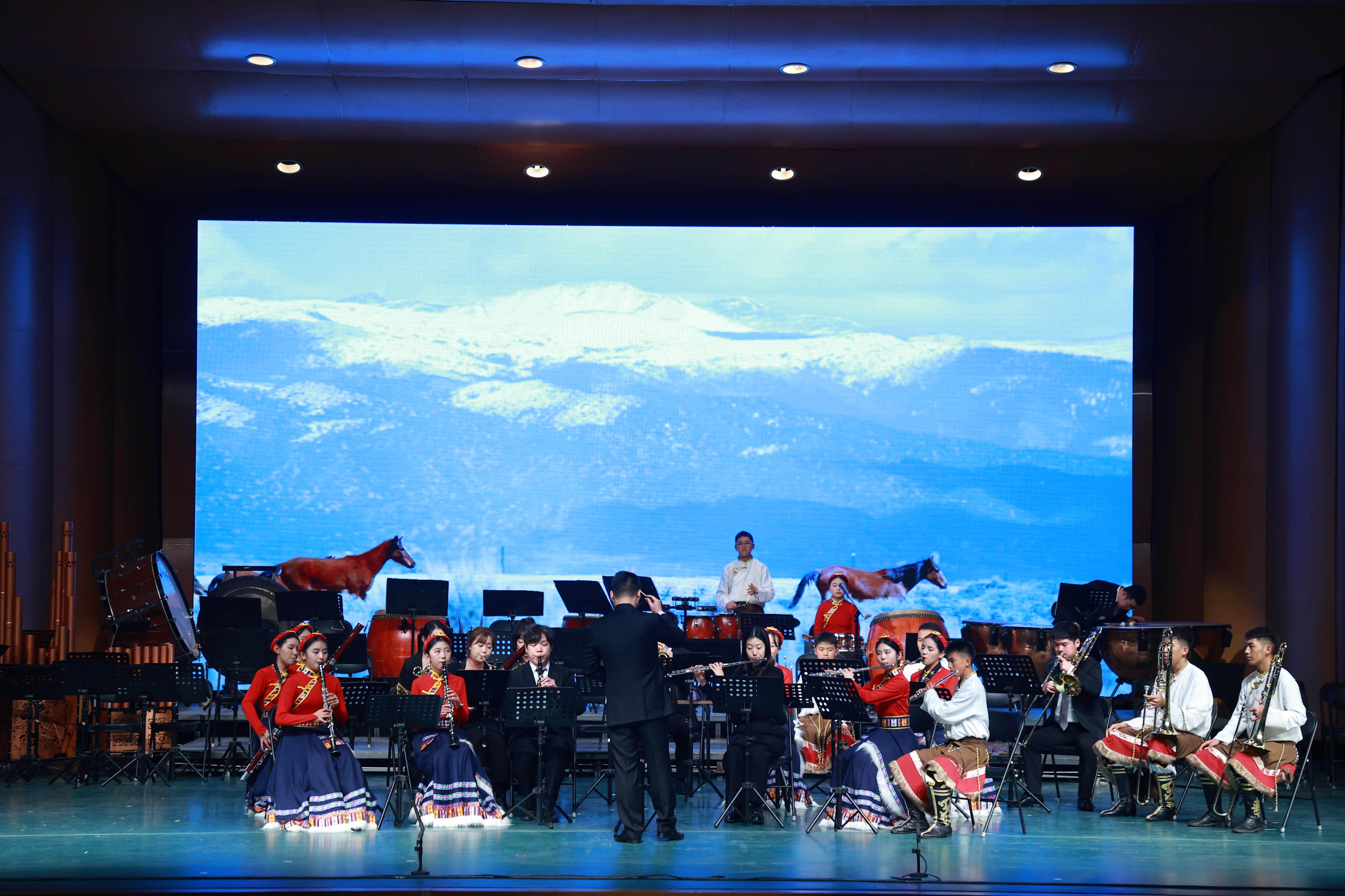 音樂會展演現(xiàn)場。（主辦方供圖）