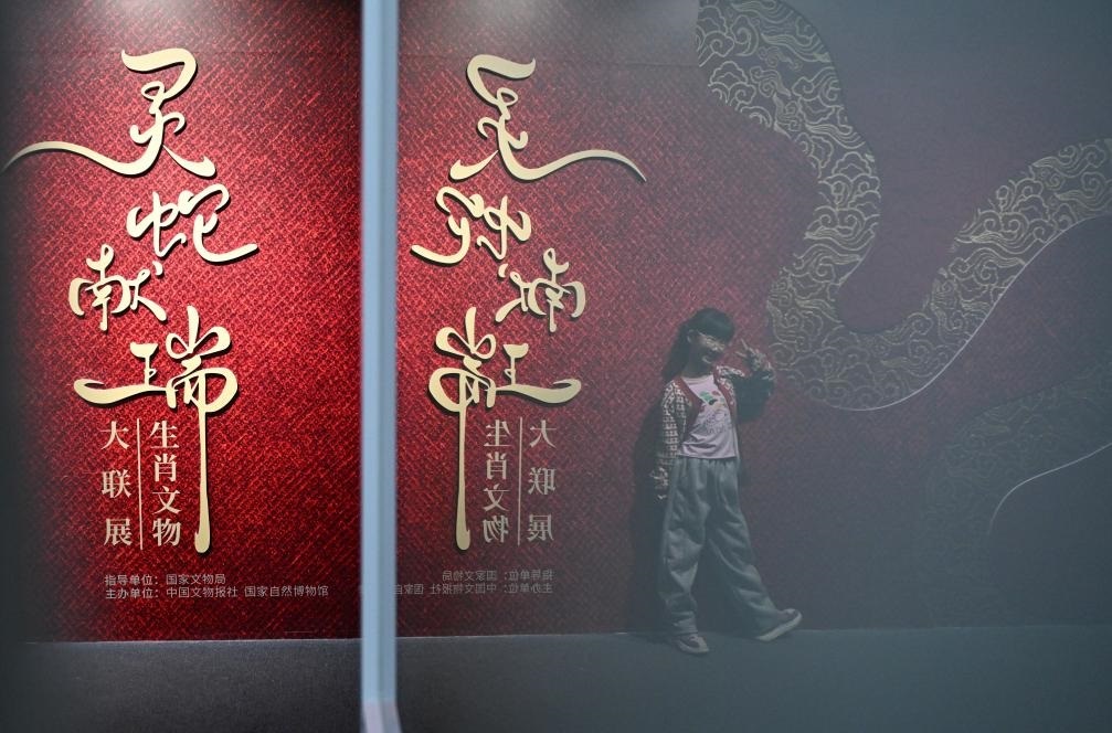 1月18日，一名小朋友在國家自然博物館舉辦的“靈蛇獻瑞——2025乙巳蛇年生肖文物大聯(lián)展”展覽中拍照留念。（新華社記者 陳鐘昊 攝）