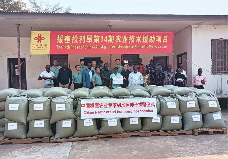 中國援塞拉利昂農業(yè)專家組在塞南方省博城舉辦水稻種子捐贈儀式。中國援塞農業(yè)專家組供圖