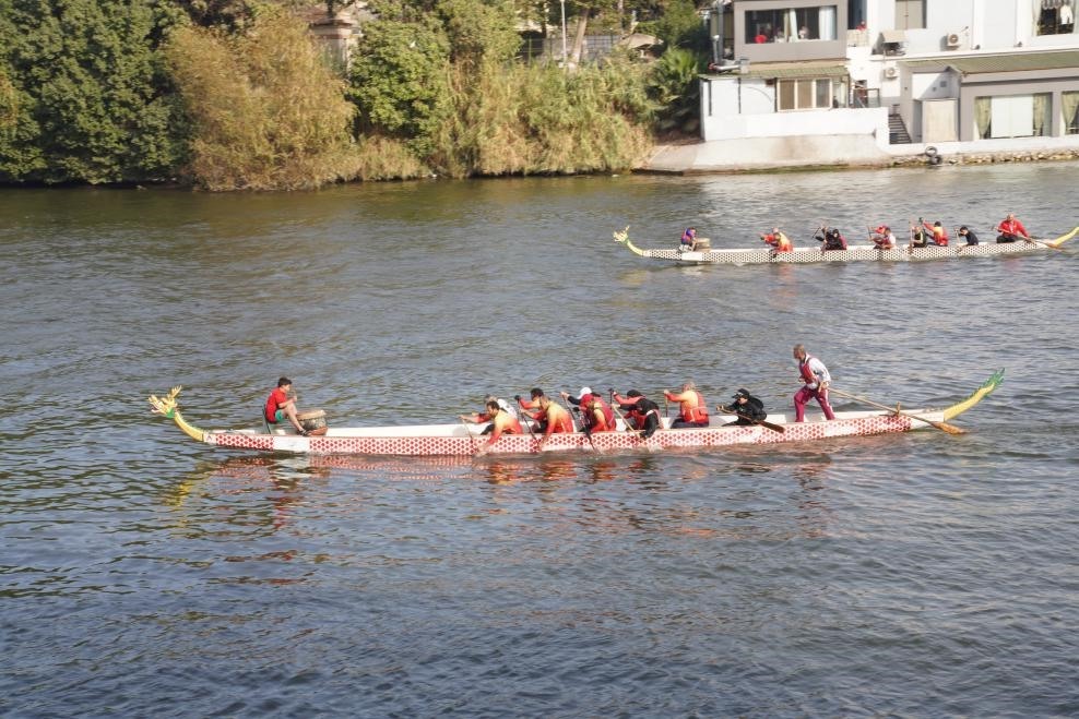 活動現(xiàn)場龍舟競技，共慶春節(jié)。開羅中國文化中心供圖