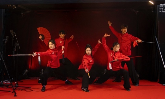 武術表演。中國駐芬蘭大使館供圖