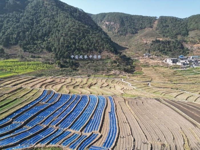 △近日，四川涼山一現(xiàn)代農(nóng)業(yè)園春耕育秧搶農(nóng)時。