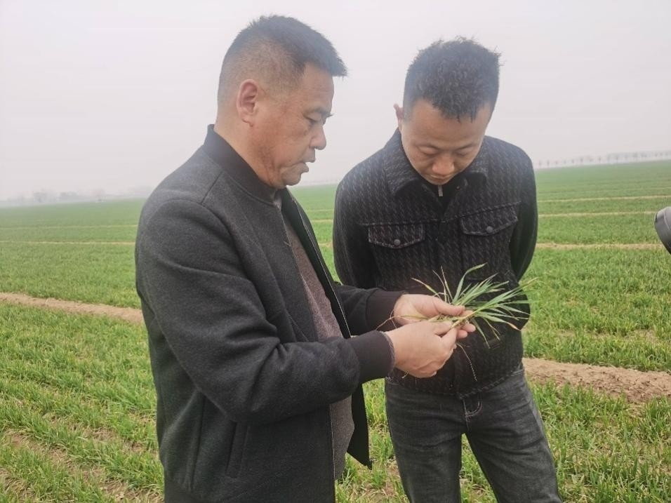 在山東濟(jì)寧汶上縣苑莊鎮(zhèn)，農(nóng)技員黃海龍對(duì)種糧大戶王振現(xiàn)場(chǎng)進(jìn)行春耕指導(dǎo)。人民網(wǎng)記者 車柯蒙攝