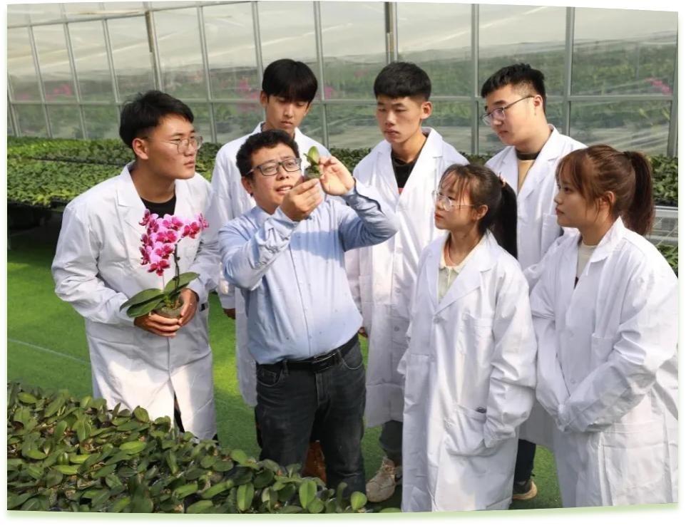 濰坊工程職業(yè)學(xué)院科技創(chuàng)新團(tuán)隊(duì)為花卉行業(yè)從業(yè)者作蝴蝶蘭雜交選育技術(shù)指導(dǎo)。學(xué)校供圖