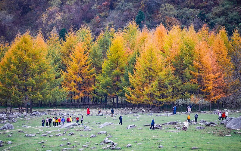 2023年10月27日，深秋時(shí)節(jié)的陜西秦嶺太子嶺五彩斑斕，進(jìn)入最佳觀賞期。