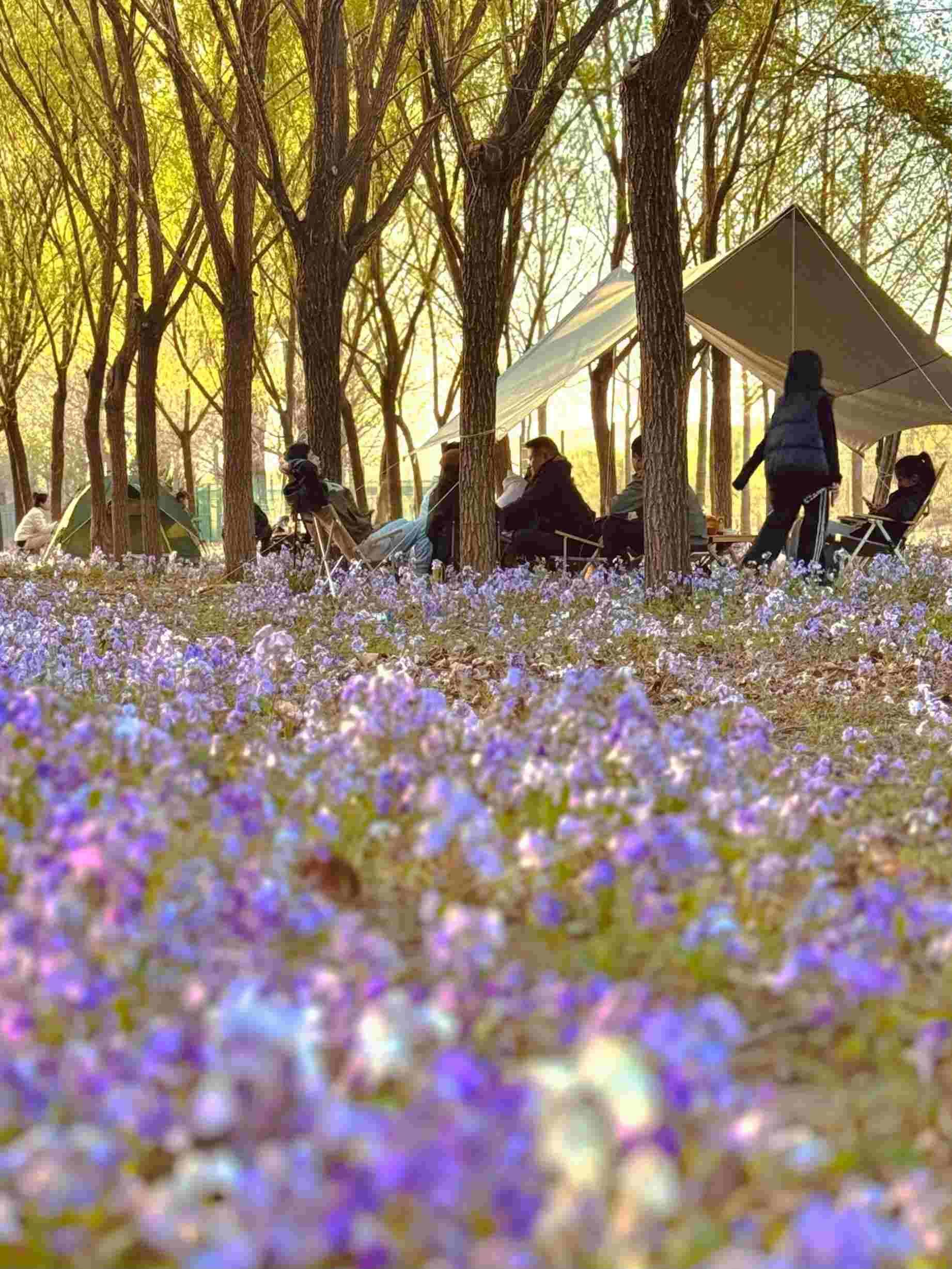 清明假期期間，范女士一家在北京溫榆河邊露營(yíng)。受訪者供圖