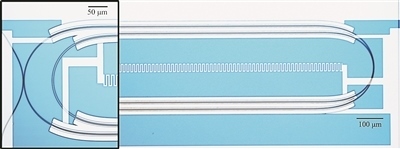微波光量子傳感器的光學顯微照片。圖片來源：美國哈佛大學