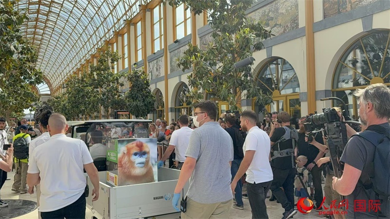 圖為活動現(xiàn)場。人民網(wǎng)記者 牛瑞飛攝