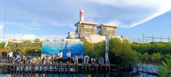 5月18日，中印尼嘉賓在爪哇7號(hào)燃煤電站舉行紅樹林補(bǔ)植儀式。記者 曹凱 攝