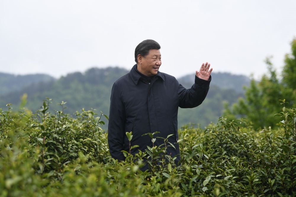 2020年4月21日，習近平總書記來到陜西安康市平利縣老縣鎮(zhèn)，在茶園考察脫貧攻堅情況。新華社記者 燕雁 攝