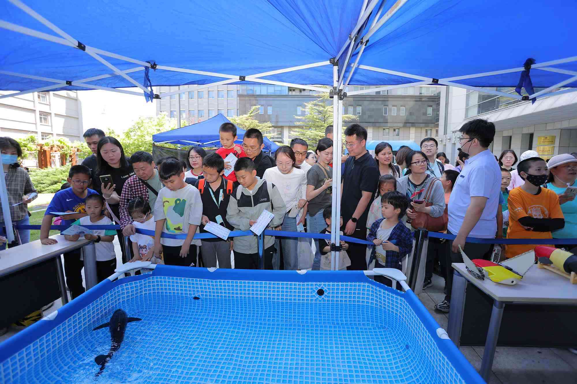 水下仿生機(jī)器魚在活動現(xiàn)場大受歡迎。中國科學(xué)院自動化研究所供圖