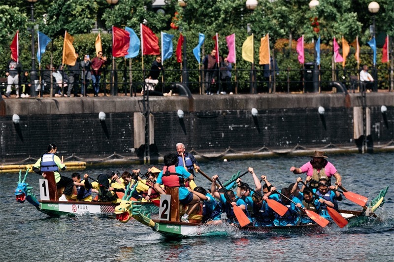 中英雙方的參賽隊(duì)伍參與龍舟競渡。楊浩鵬攝